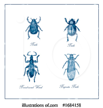 Royalty-Free (RF) Insect Clipart Illustration by patrimonio - Stock Sample #1684158