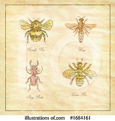 Bumble Bee Clipart #1684161 by patrimonio