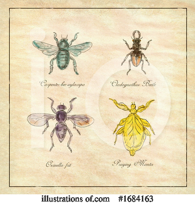 Royalty-Free (RF) Insect Clipart Illustration by patrimonio - Stock Sample #1684163