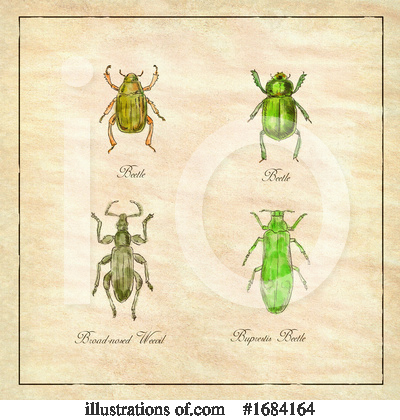Royalty-Free (RF) Insect Clipart Illustration by patrimonio - Stock Sample #1684164