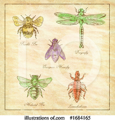 Bumble Bee Clipart #1684165 by patrimonio