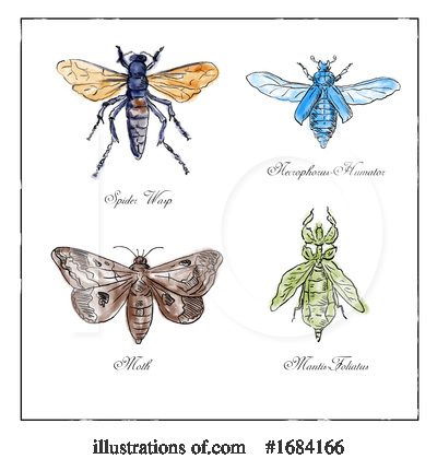 Moth Clipart #1684166 by patrimonio