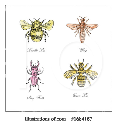 Bumble Bee Clipart #1684167 by patrimonio