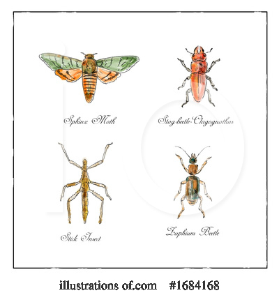 Royalty-Free (RF) Insect Clipart Illustration by patrimonio - Stock Sample #1684168