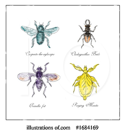 Royalty-Free (RF) Insect Clipart Illustration by patrimonio - Stock Sample #1684169