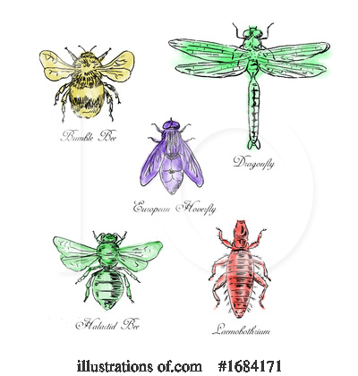 Bumble Bee Clipart #1684171 by patrimonio