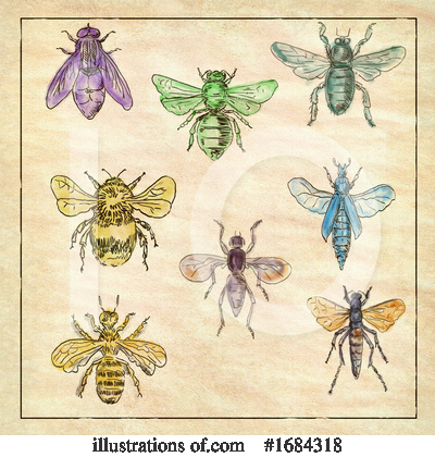Royalty-Free (RF) Insect Clipart Illustration by patrimonio - Stock Sample #1684318