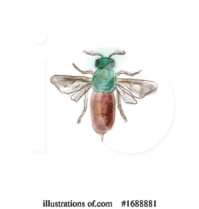 Royalty-Free (RF) Insect Clipart Illustration by patrimonio - Stock Sample #1688881