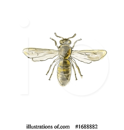 Royalty-Free (RF) Insect Clipart Illustration by patrimonio - Stock Sample #1688882