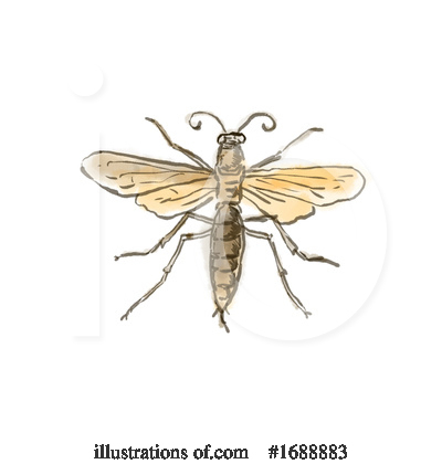Royalty-Free (RF) Insect Clipart Illustration by patrimonio - Stock Sample #1688883