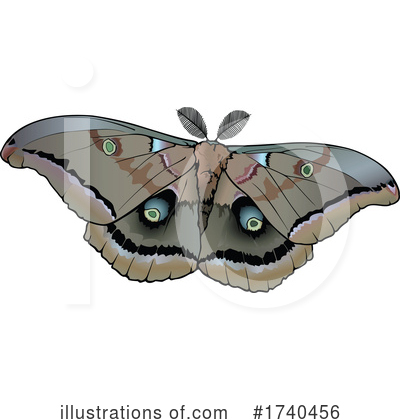 Moth Clipart #1740456 by dero