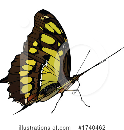 Royalty-Free (RF) Insect Clipart Illustration by dero - Stock Sample #1740462