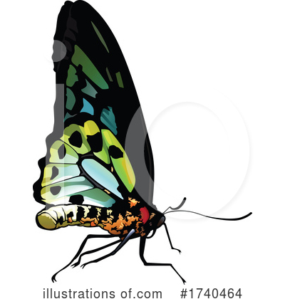 Royalty-Free (RF) Insect Clipart Illustration by dero - Stock Sample #1740464