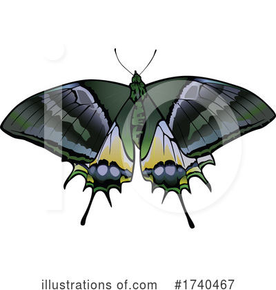 Royalty-Free (RF) Insect Clipart Illustration by dero - Stock Sample #1740467