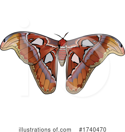 Moth Clipart #1740470 by dero
