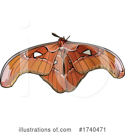Moth Clipart #1740471 by dero