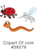 Insect Clipart #38079 by Alex Bannykh