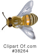 Insect Clipart #38264 by dero