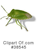 Insect Clipart #38545 by dero