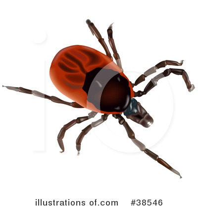 Royalty-Free (RF) Insect Clipart Illustration by dero - Stock Sample #38546