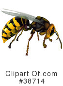 Insect Clipart #38714 by dero