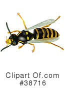 Insect Clipart #38716 by dero