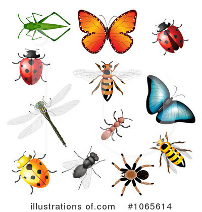 Butterflies Clipart #1065614 by vectorace