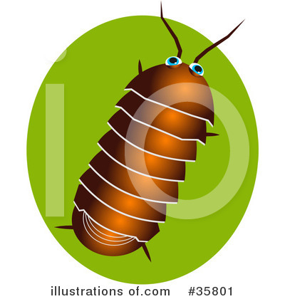 Insects Clipart #35801 by Prawny