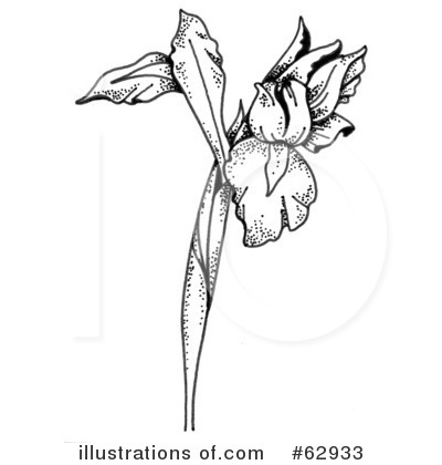 Royalty-Free (RF) Iris Clipart Illustration by LoopyLand - Stock Sample #62933