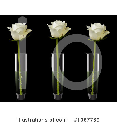 Royalty-Free (RF) Ivory Rose Clipart Illustration by elaineitalia - Stock Sample #1067789