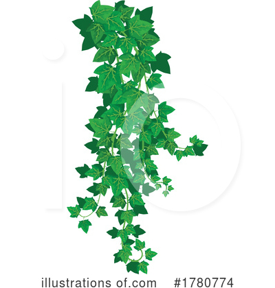 Ivy Clipart #1780774 by Vector Tradition SM