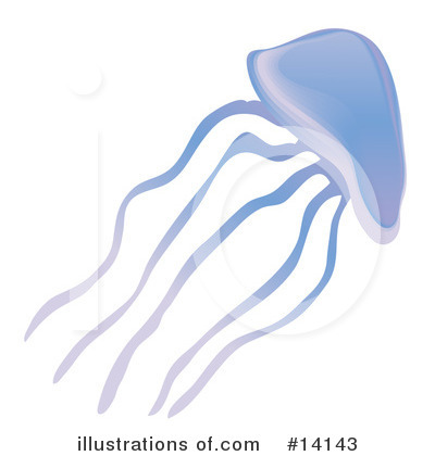 Royalty-Free (RF) Jellyfish Clipart Illustration by Rasmussen Images - Stock Sample #14143