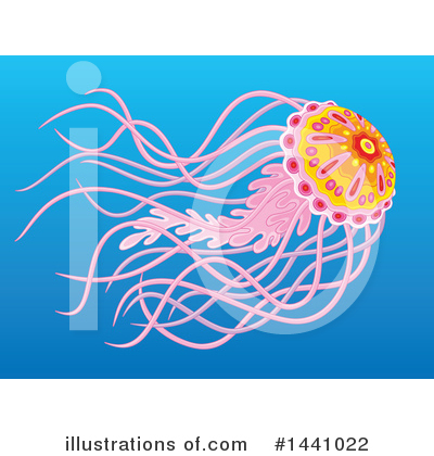 Jellyfish Clipart #1441022 by Alex Bannykh