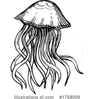 Royalty-Free (RF) Jellyfish Clipart Illustration by Vector Tradition SM - Stock Sample #1758009