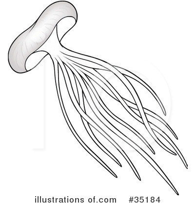 Royalty-Free (RF) Jellyfish Clipart Illustration by dero - Stock Sample #35184