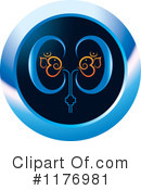 Kidney Clipart #1176981 by Lal Perera