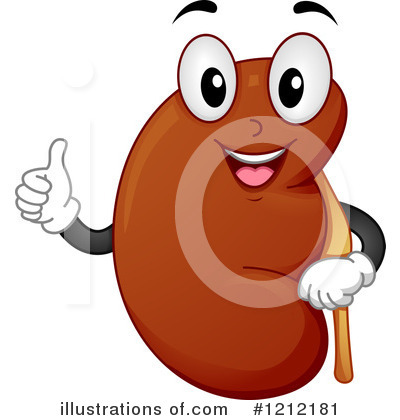Kidney Clipart #1212181 by BNP Design Studio