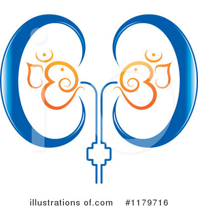 Kidney Clipart #1179716 by Lal Perera
