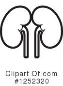 Kidneys Clipart #1252320 by Lal Perera