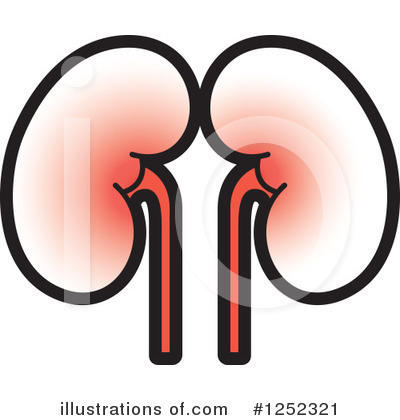 Kidney Clipart #1252321 by Lal Perera
