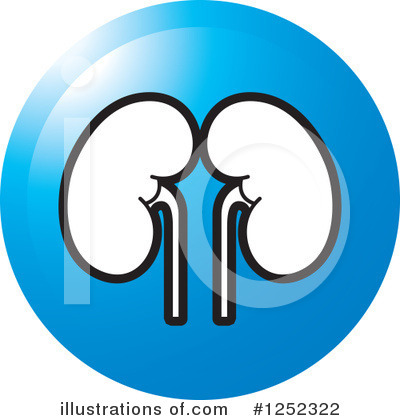 Kidney Clipart #1252322 by Lal Perera