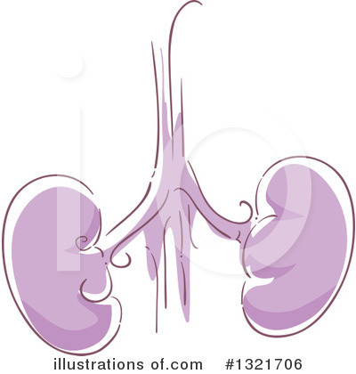 Kidney Clipart #1321706 by BNP Design Studio