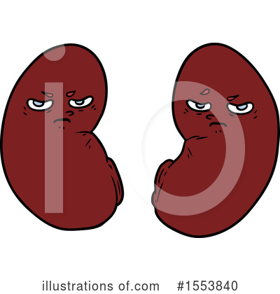 Kidneys Clipart #1553840 by lineartestpilot