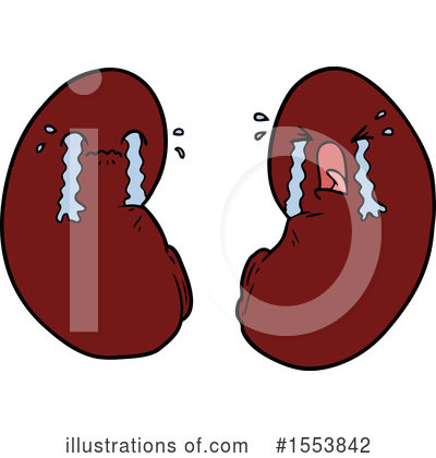 Kidneys Clipart #1553842 by lineartestpilot