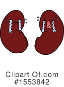 Kidneys Clipart #1553842 by lineartestpilot