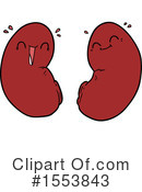 Kidneys Clipart #1553843 by lineartestpilot