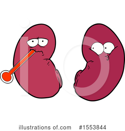 Kidneys Clipart #1553844 by lineartestpilot