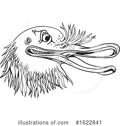 Royalty-Free (RF) Kiwi Bird Clipart Illustration by patrimonio - Stock Sample #1622841
