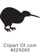 Kiwi Bird Clipart #229283 by patrimonio