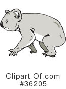 Koala Clipart #36205 by Dennis Holmes Designs